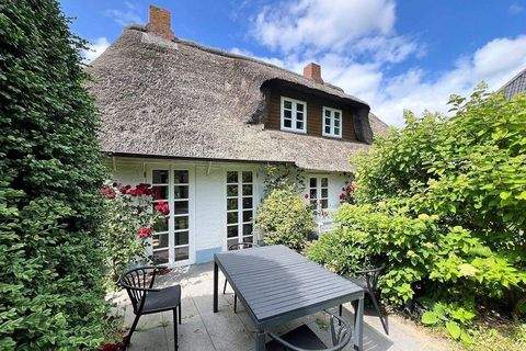 Oevenum Häuser, Oevenum Haus kaufen