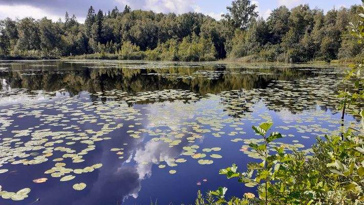 Kundenbilder (30).jpg