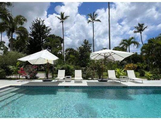 wmimg_amavi-real-estate-las-terrenas-dr-forsale-casa-Dewaschehn59_cleanup