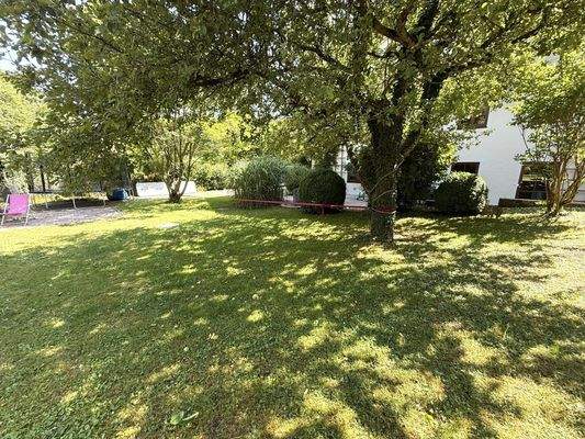 schöner Baumbestand