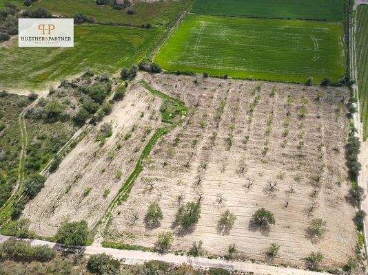 Sant Joan Grundstück 5