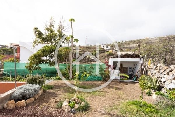 031_Finca_Fasnia_Tizina.jpeg