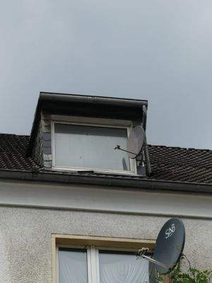 Fenster im DG zur Wohnung
