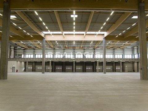 Velten Halle, Velten Hallenfläche