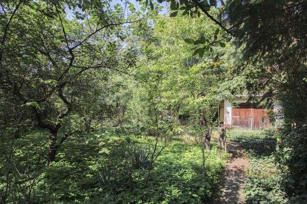 Weg auf dem Grundstück