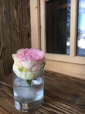 Frozen Rose