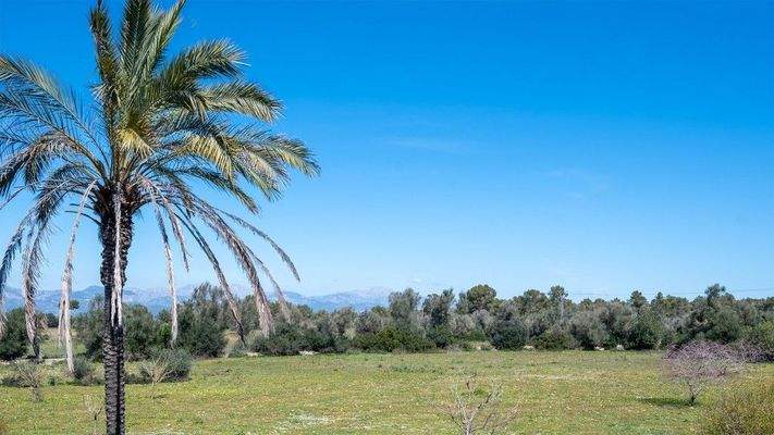Algaida Mallorca Finca rústica zum Verkauf Blick 92303