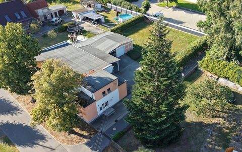 Hohenleipisch Häuser, Hohenleipisch Haus kaufen