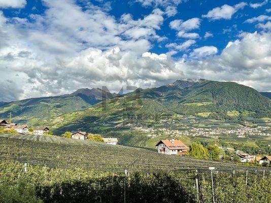 Panoramablick - vista panoramica