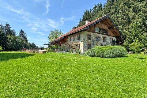 Neumarkt am Wallersee Häuser, Neumarkt am Wallersee Haus kaufen