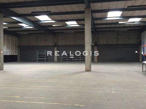 Bamberg Halle, Bamberg Hallenfläche