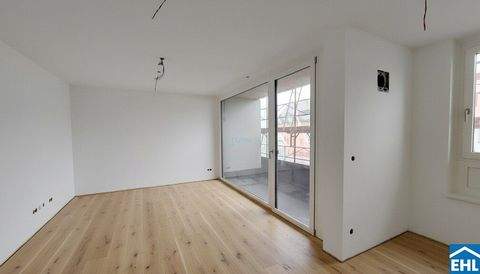 Wien Wohnungen, Wien Wohnung mieten