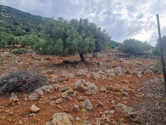 Kreta, Agios Nikolaos: Grundstück mit Meerblick zu verkaufen