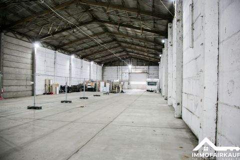 Magdeburg / Ottersleben Halle, Magdeburg / Ottersleben Hallenfläche