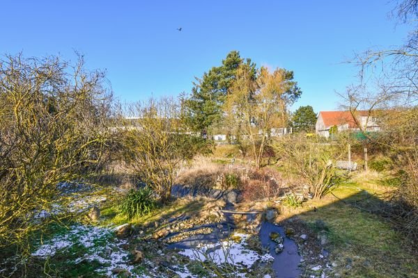 Gartenblick_16.jpg