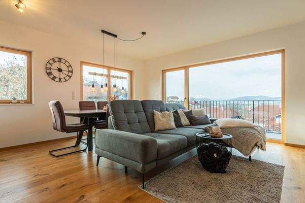 Wohn-Kochbereich (1)