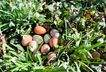 IMG_1507.jpeg