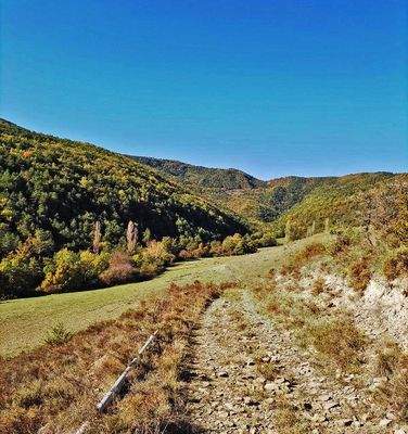 Imagen de WhatsApp 2025-06-20 a las 20.57.48_1845a