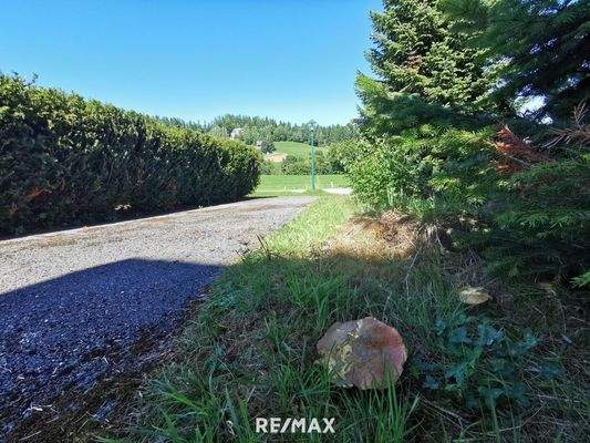Weg Terrasse zu Parkplatz