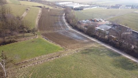 Rammingen Bauernhöfe, Landwirtschaft, Rammingen Forstwirtschaft