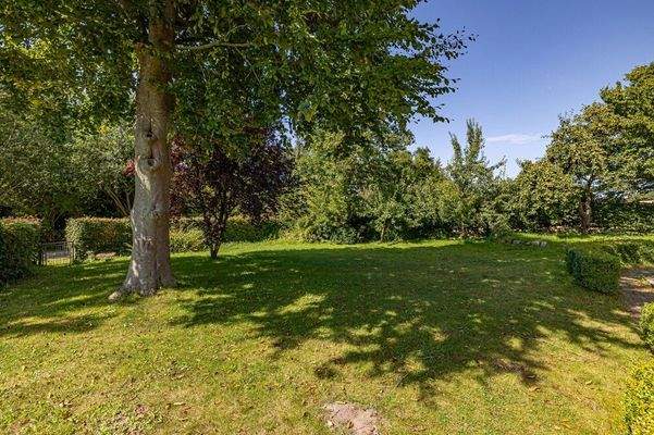 Platz zum Spielen und Toben