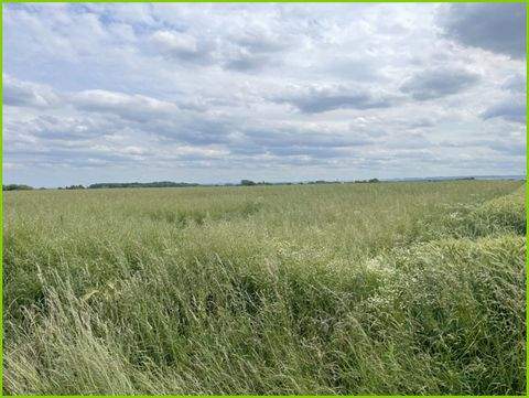 Hamm / Osterflierich Bauernhöfe, Landwirtschaft, Hamm / Osterflierich Forstwirtschaft