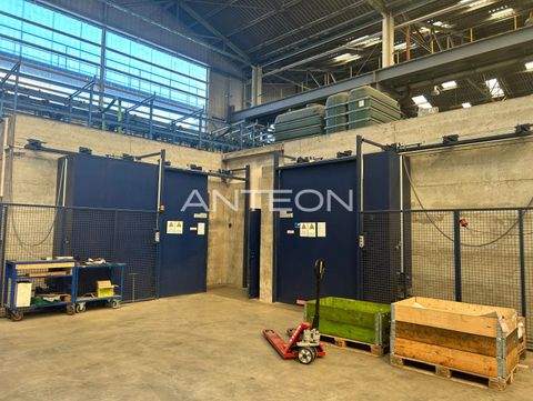 Neuss Halle, Neuss Hallenfläche