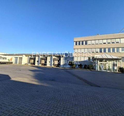 Hannover Halle, Hannover Hallenfläche