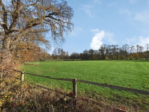 Salzhausen Bauernhöfe, Landwirtschaft, Salzhausen Forstwirtschaft