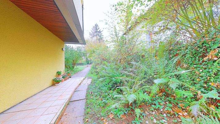 Weg_zum_Garten___Straße_