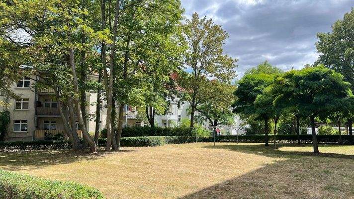 Blick in den Garten 3