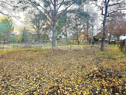 Grundstücksansicht von der Straße aus