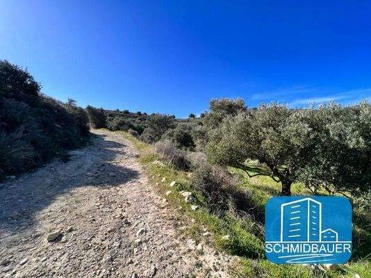 Kreta, Kamilari: Grundstück in traumhafter Lage mit Meer- und Bergblick zu verkaufen