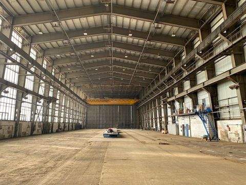 Boizenburg/Elbe Halle, Boizenburg/Elbe Hallenfläche