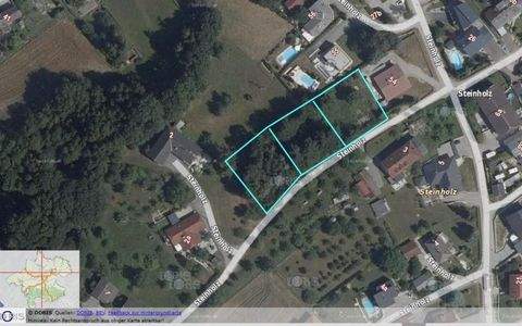 Steinholz Grundstücke, Steinholz Grundstück kaufen