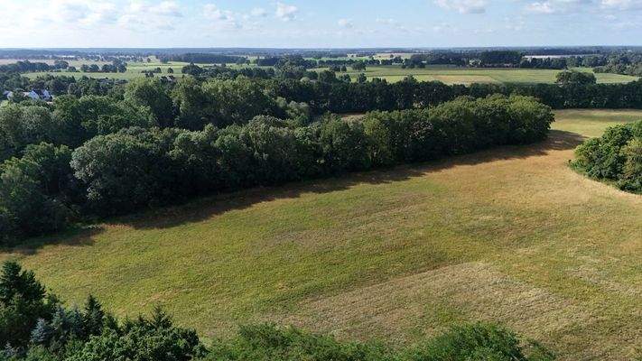 Blickfang der Gemeinschaft9