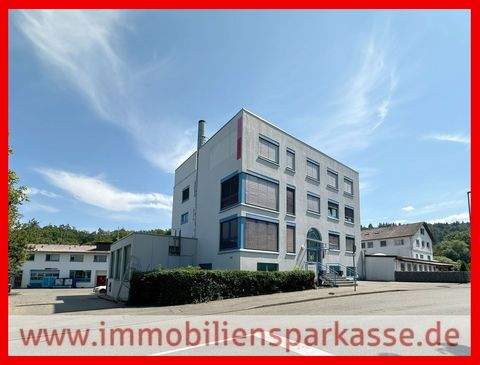 Birkenfeld Halle, Birkenfeld Hallenfläche