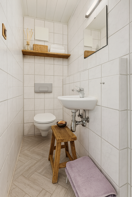 DG 1 | Gästetoilette, virtuelle Darstellung