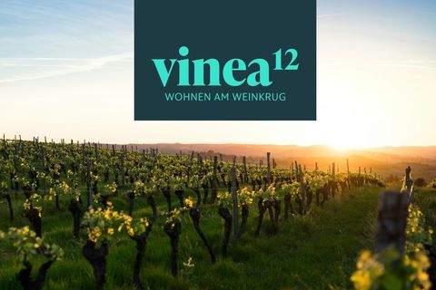 Dettelbach / Neuses am Berg Wohnungen, Dettelbach / Neuses am Berg Wohnung kaufen