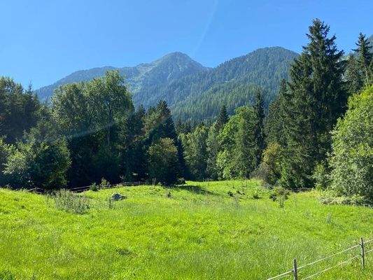 Landwitschaftliche Grundfläche