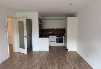 Wohn-/Esszimmer/Küche