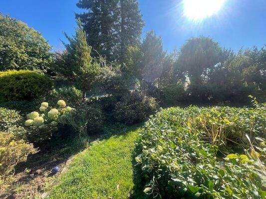 Vordergarten Hauseingangsbereich