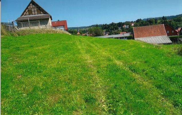 Teilansicht des Baugrundstückes