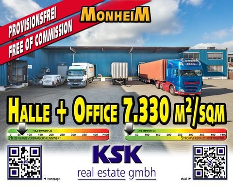 Monheim am Rhein Halle, Monheim am Rhein Hallenfläche