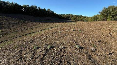 Massa Marittima Grundstücke, Massa Marittima Grundstück kaufen