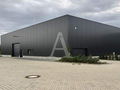 Kerpen Halle, Kerpen Hallenfläche