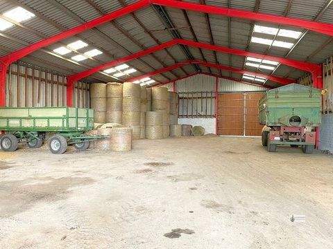 Thedinghausen / Dibbersen Halle, Thedinghausen / Dibbersen Hallenfläche