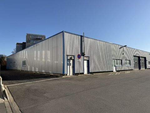 Ense Halle, Ense Hallenfläche