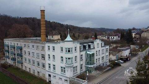 Elsterberg Häuser, Elsterberg Haus kaufen