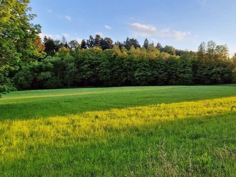 Wittibreut Grundstücke, Wittibreut Grundstück kaufen